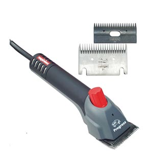affûtage de peigne et tondeuse de toiletteur